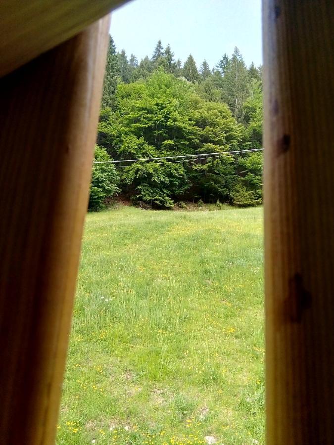 B&B Pra' Dei Cervi Telve 外观 照片
